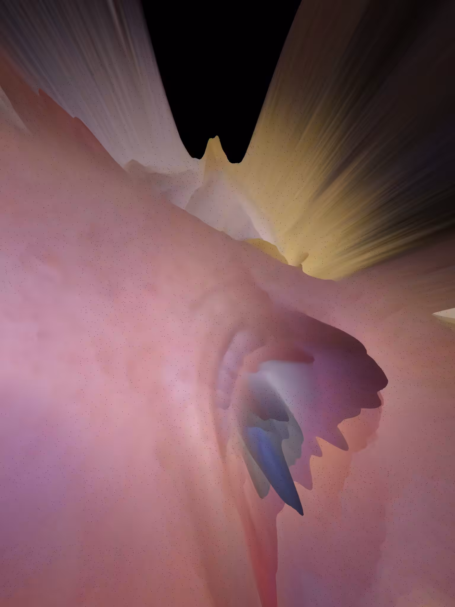 Vagina
