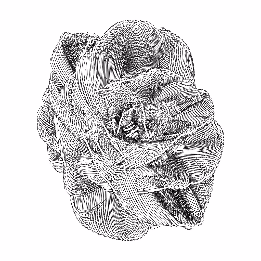 LL21 Entangled (3) #703