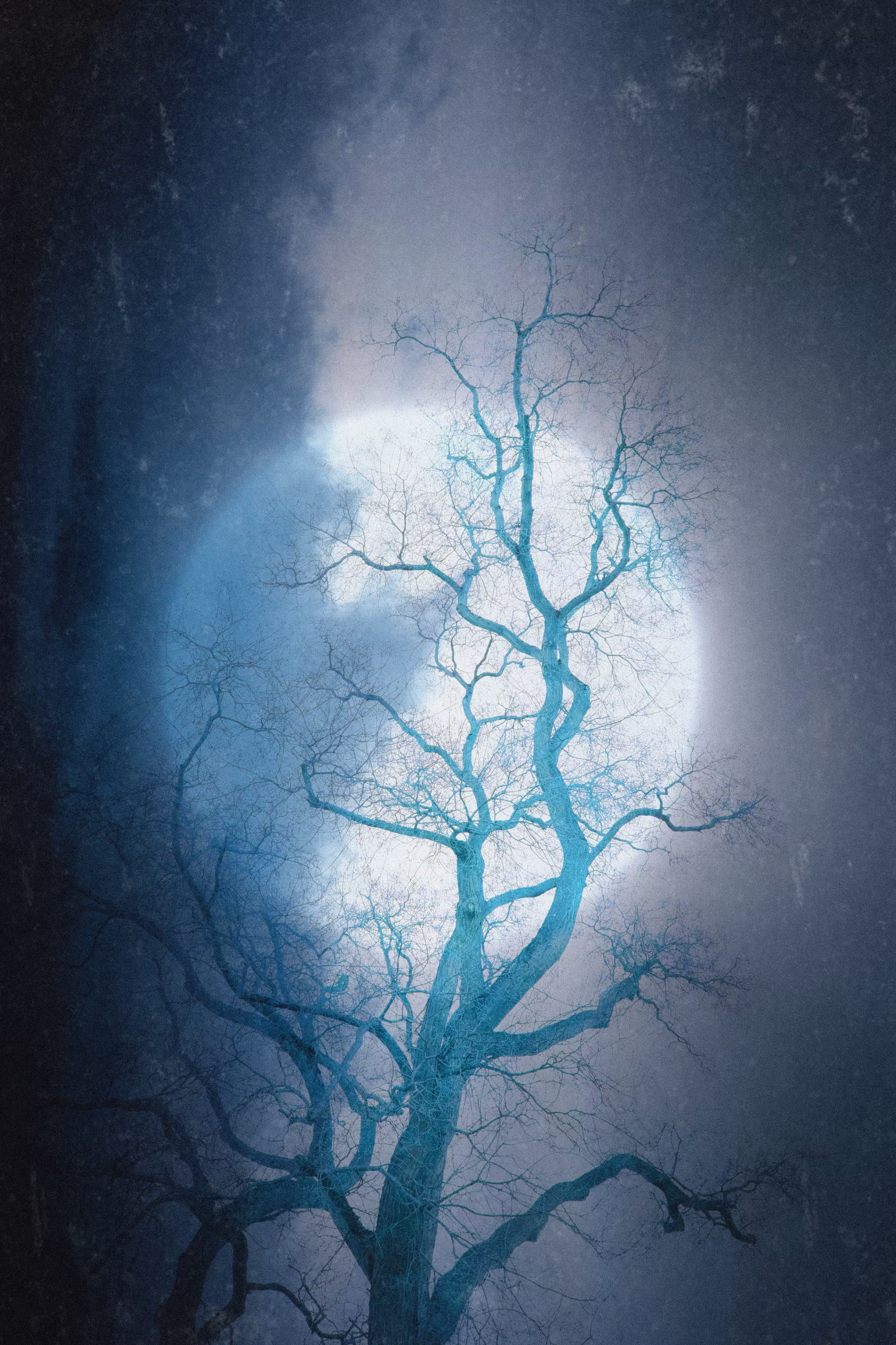 The Night Sentinel: Celestial Lumination