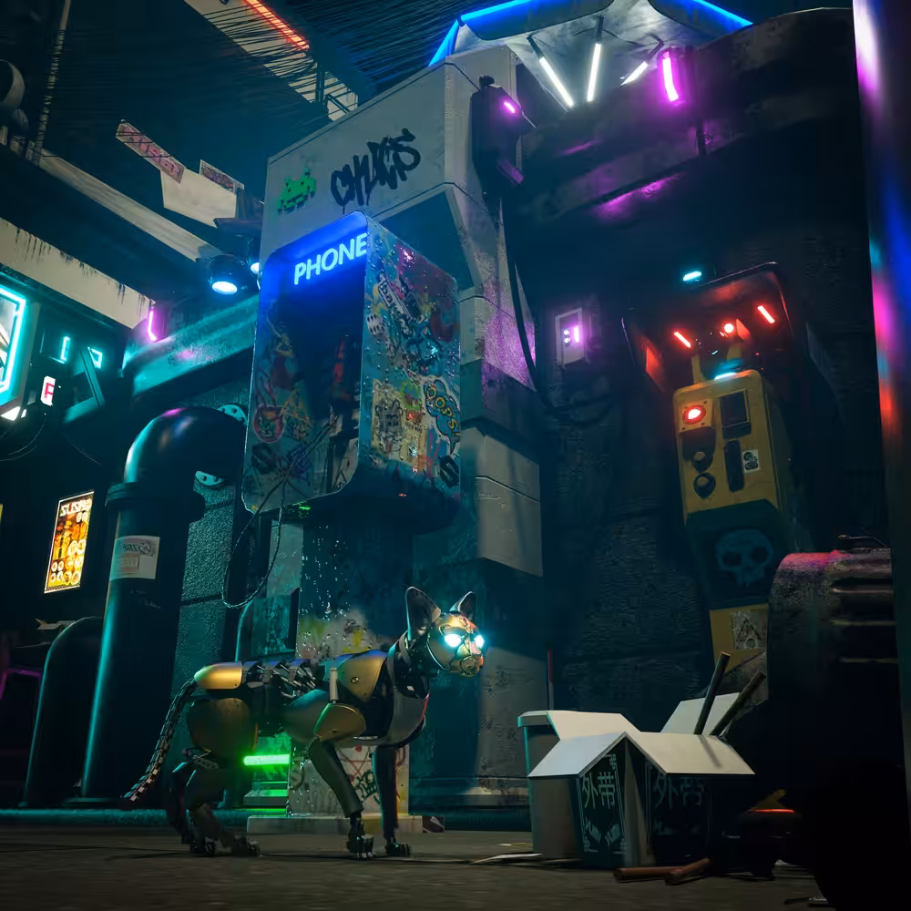 Cyber Stray