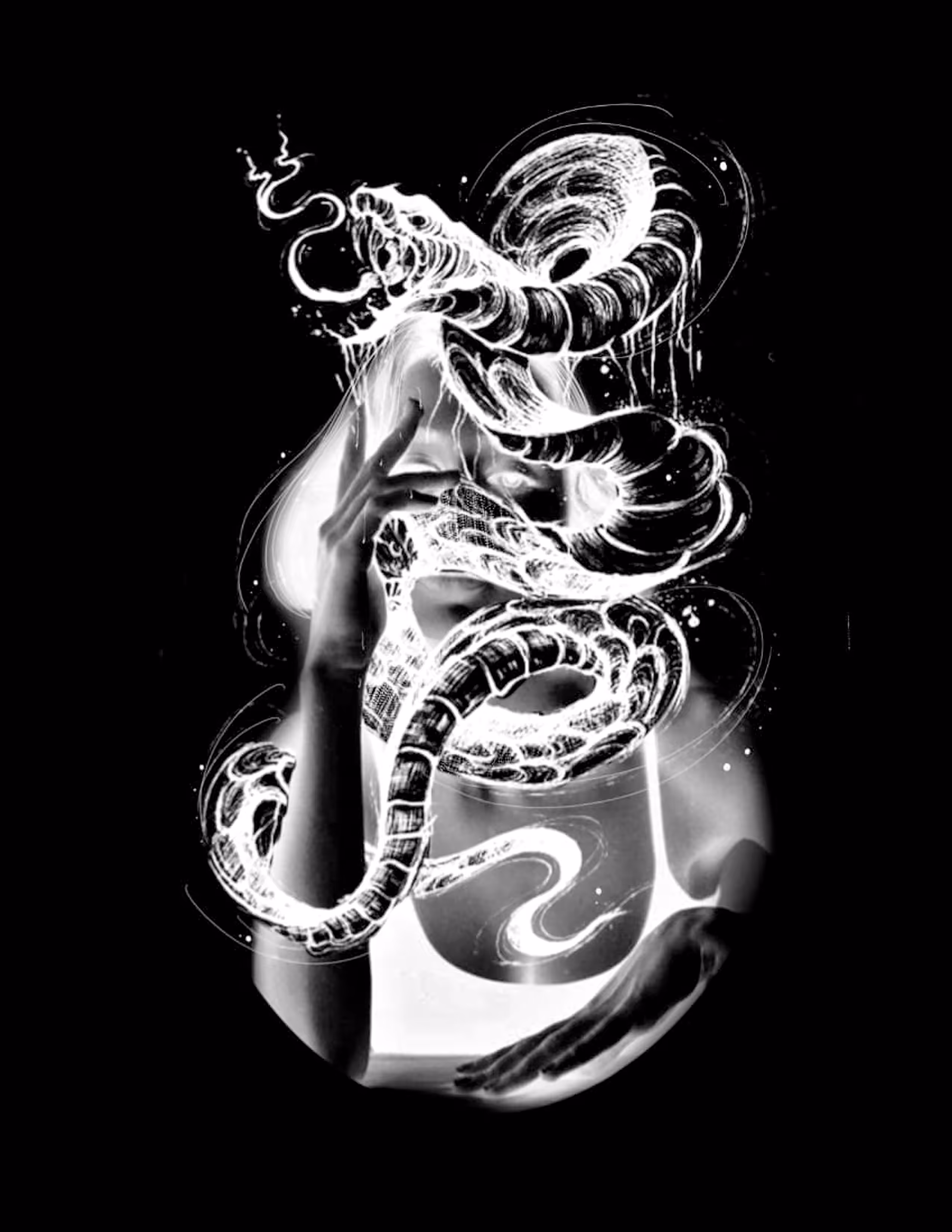 Real Black Reverse #11