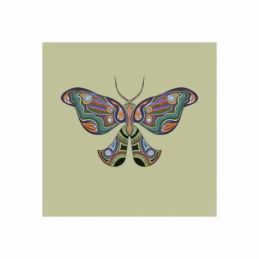 The Moth Experiment  #5
