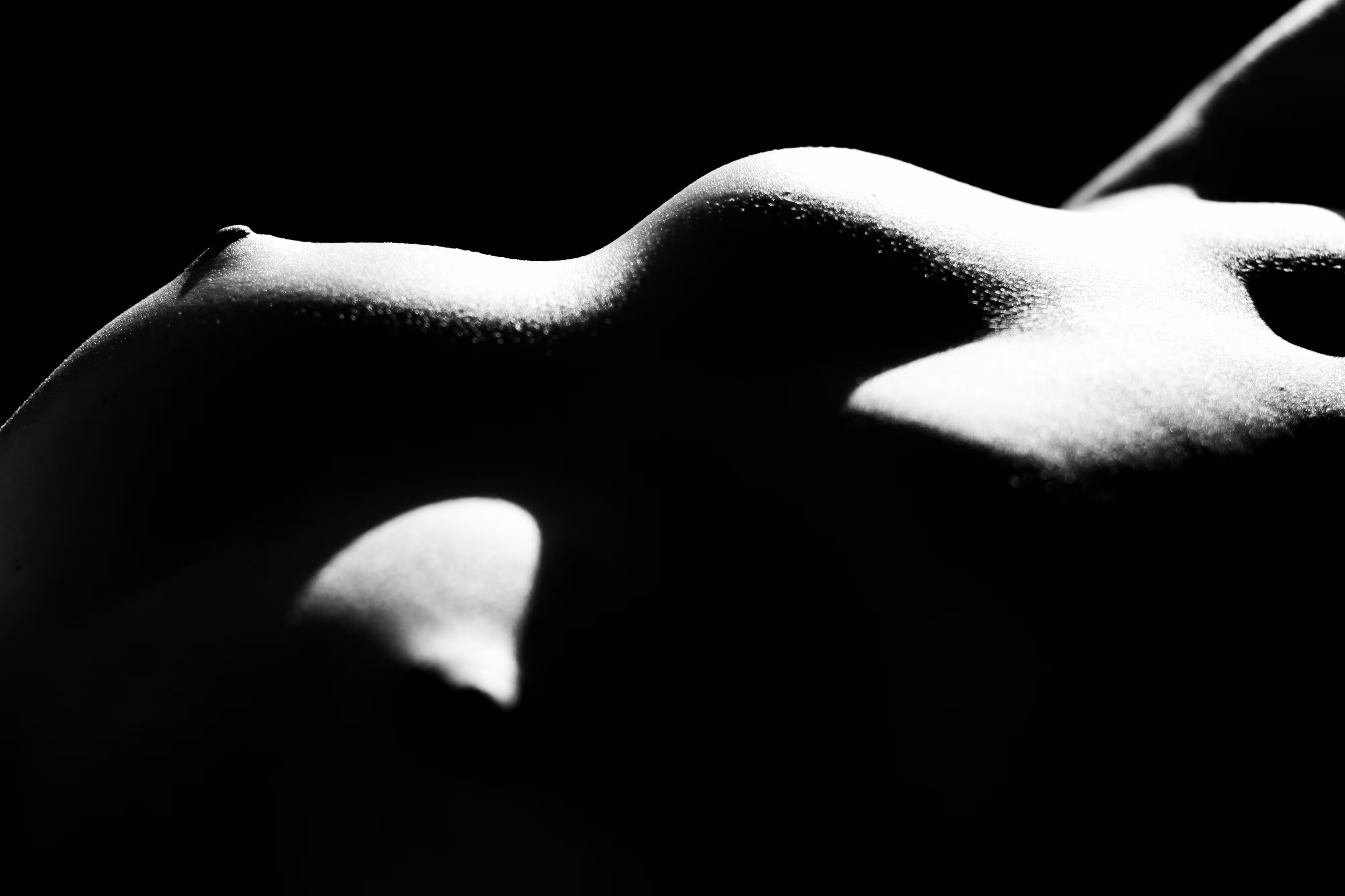 B&W Liminal Landscape Study #4