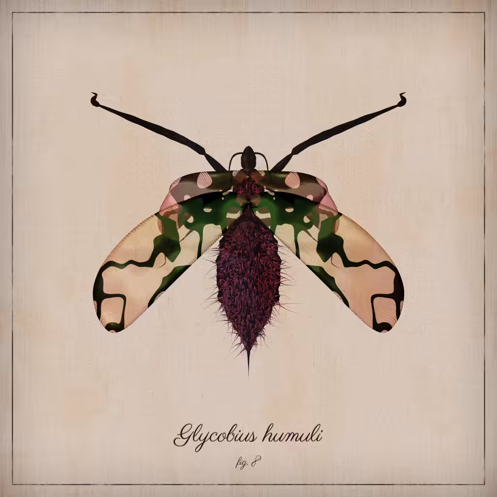 ProcGen Entomology #360