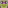 TMNT Purple 