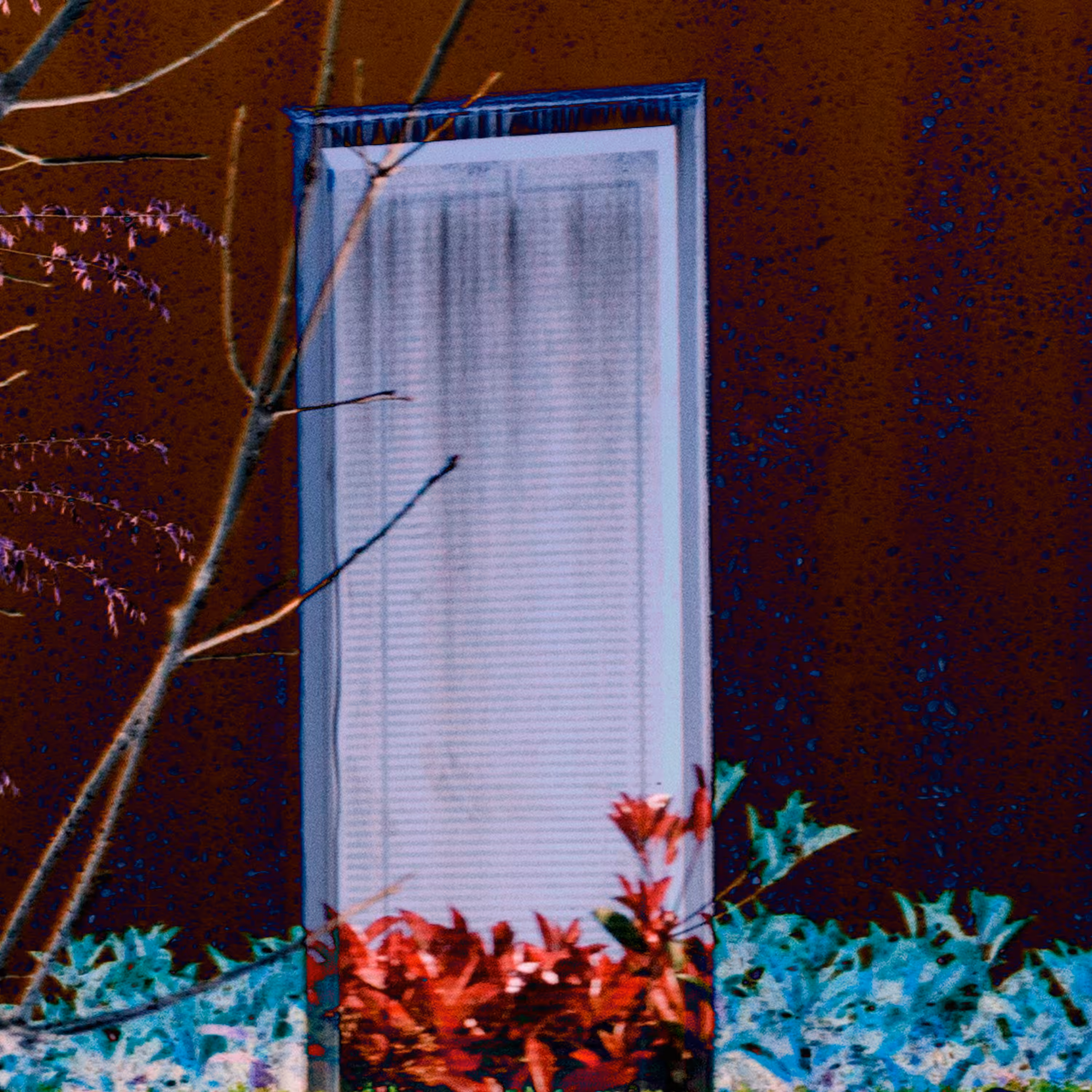 Dream Door #3