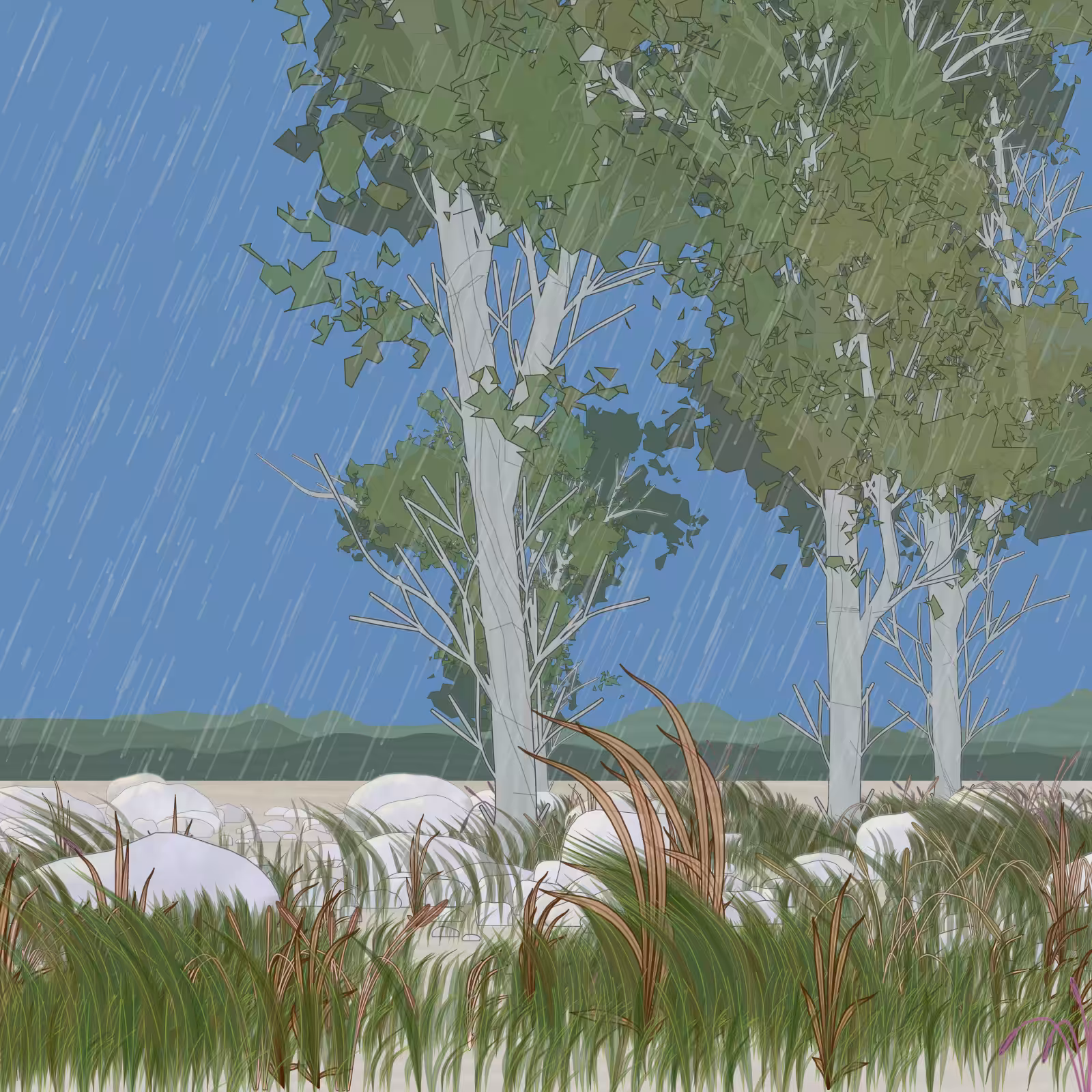 Rain Ritual #21