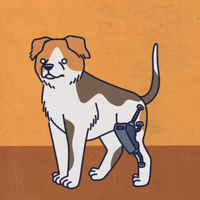 future_dogs #23