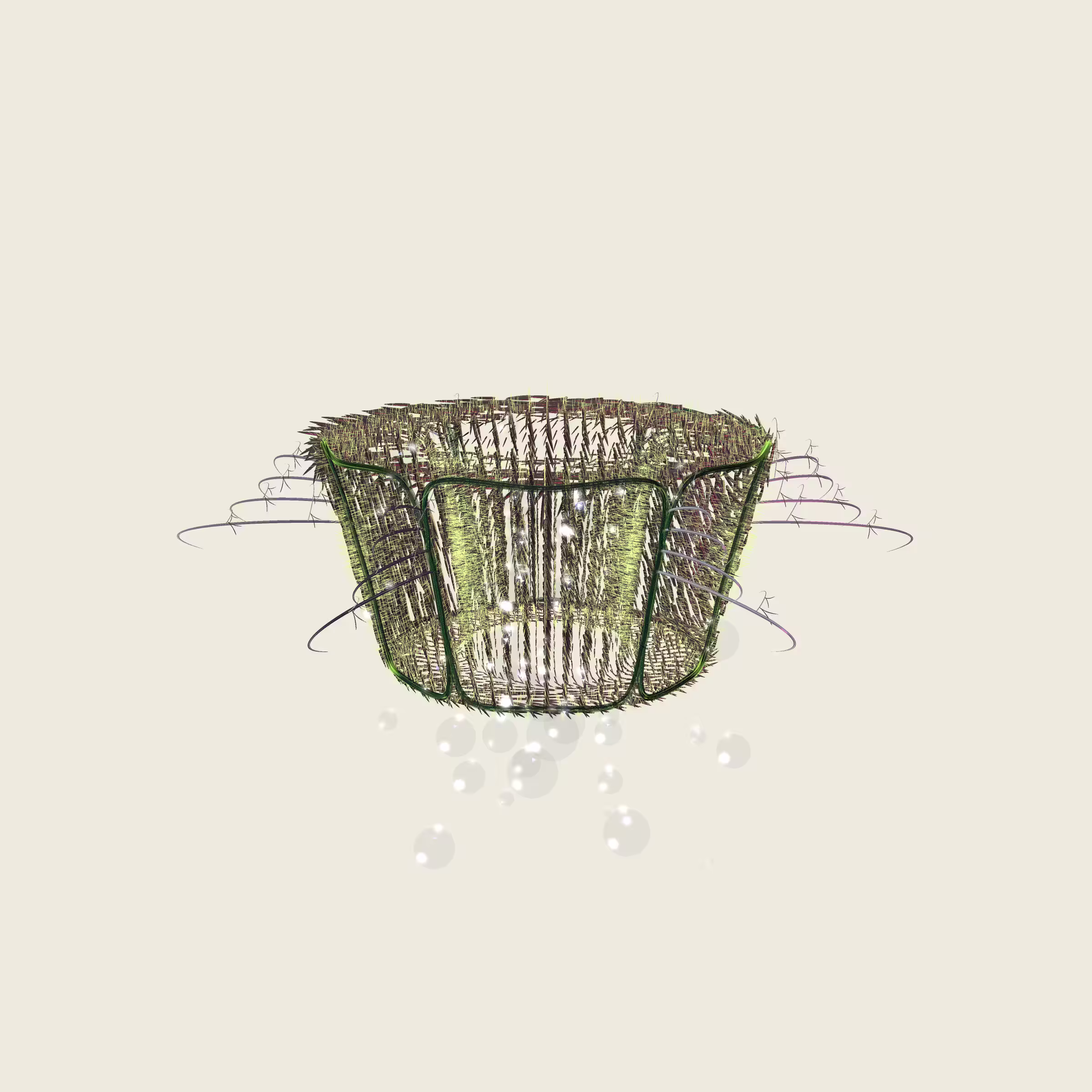 Lycorises #55
