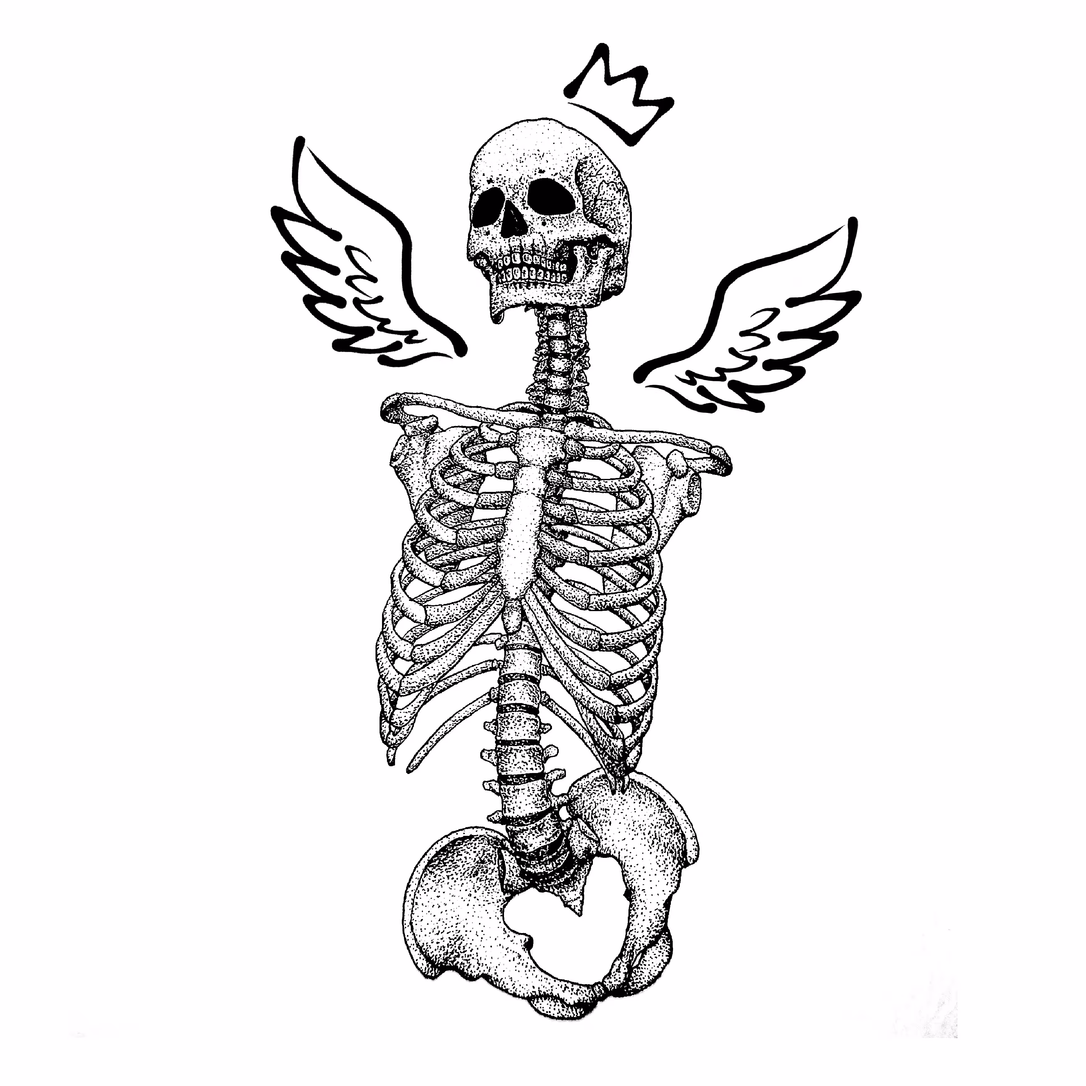 𝕱𝖆𝖑𝖑𝖊𝖓 𝕬𝖓𝖌𝖊𝖑