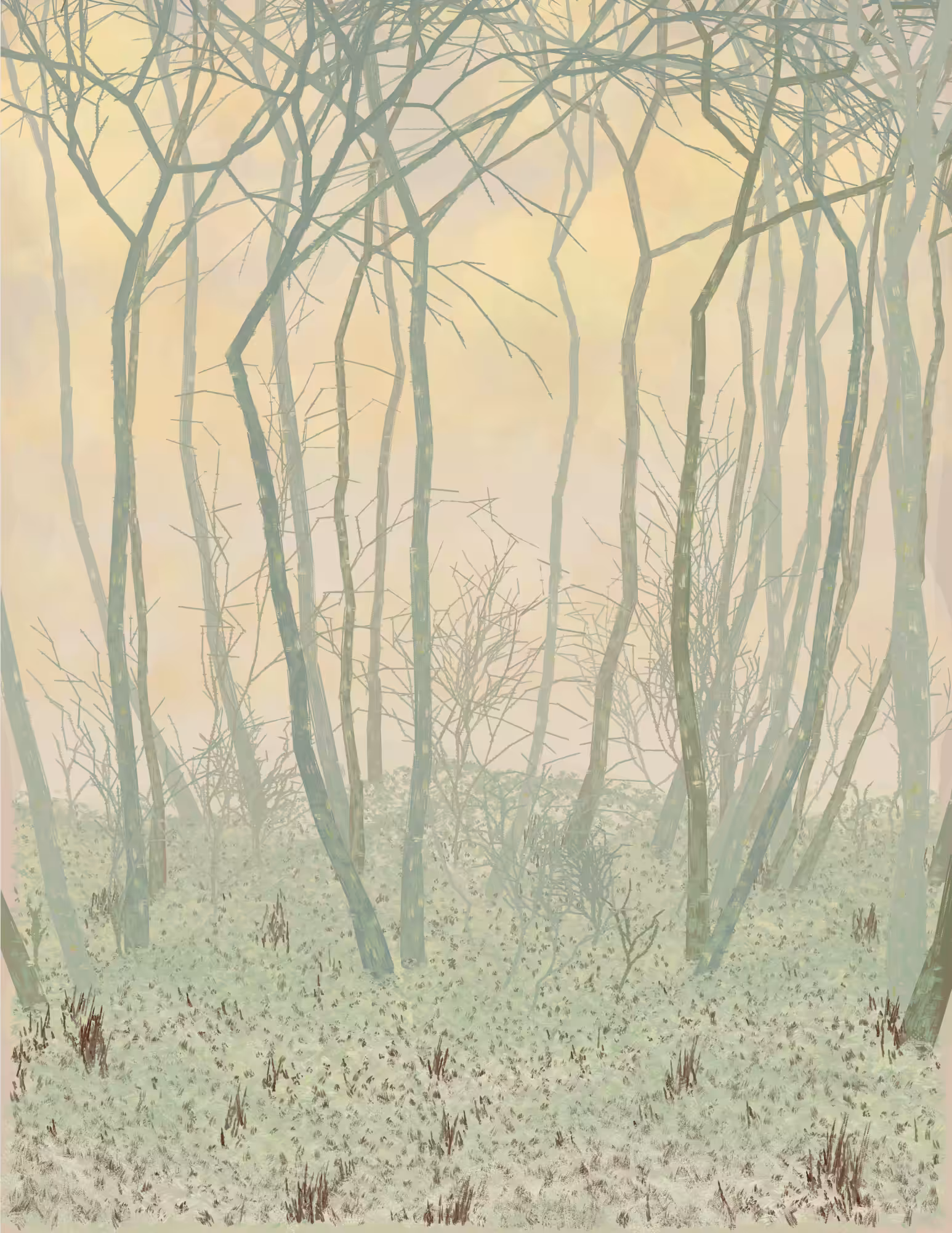 Deep Forest #315
