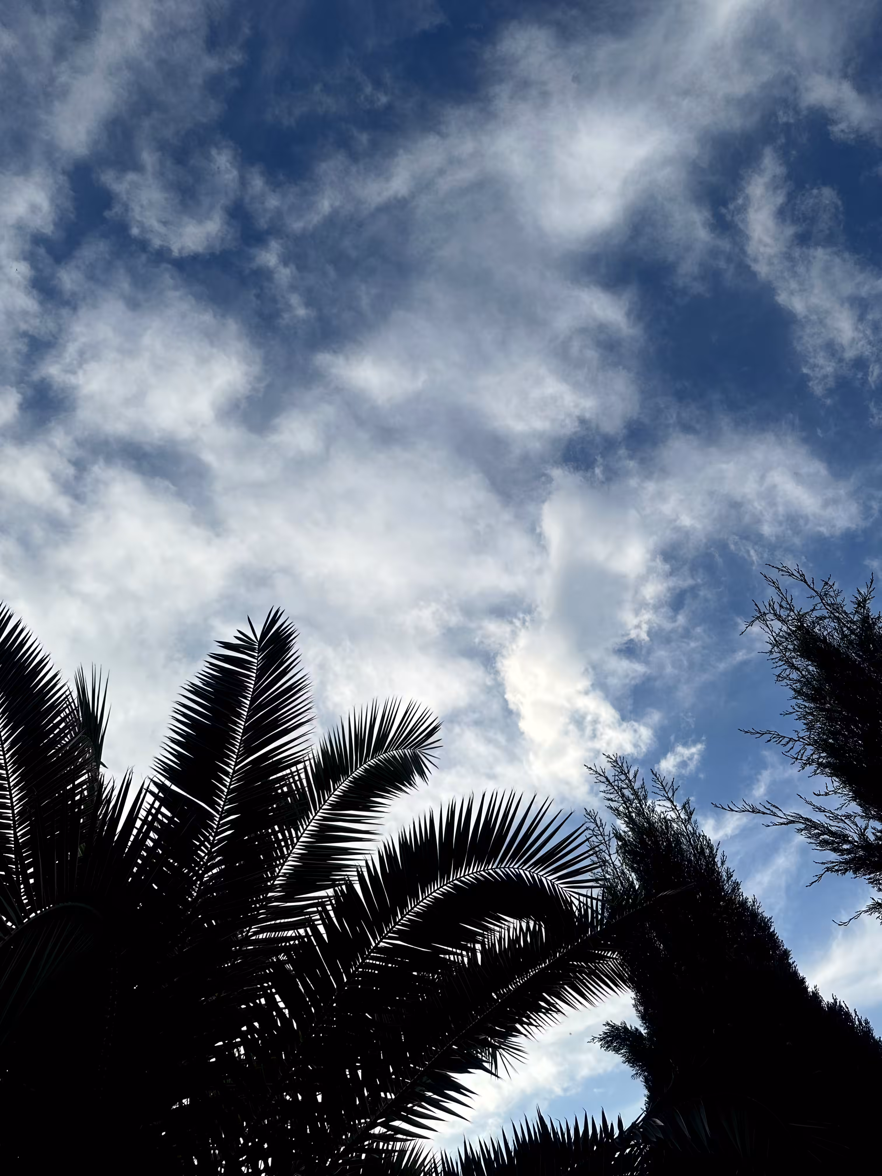 Merrylands.Photography: Merry-Photo 34