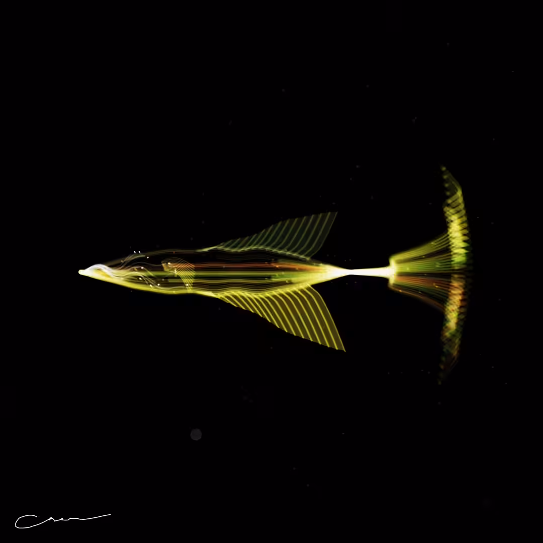 SoulFish #159