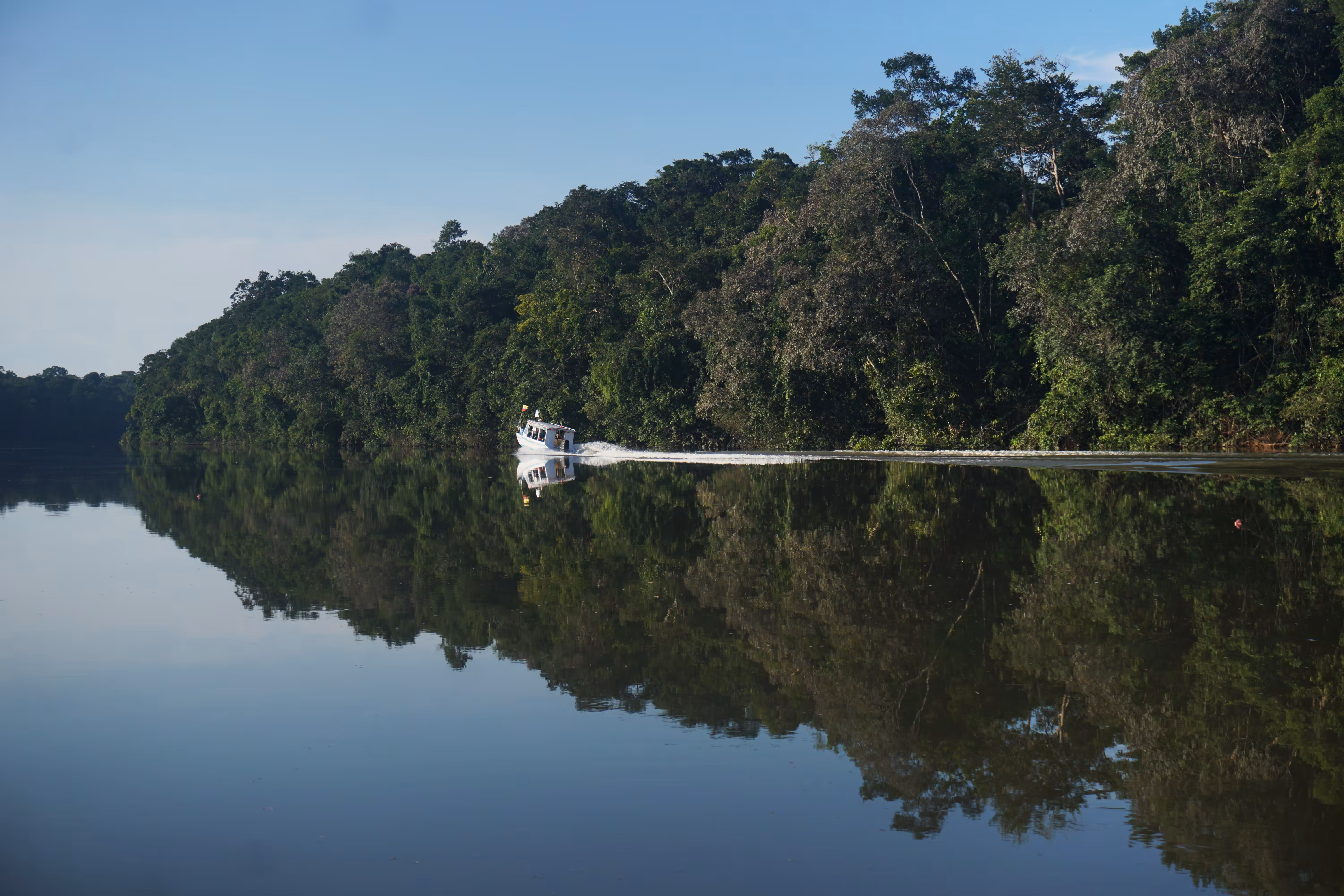 Amazonian reflection