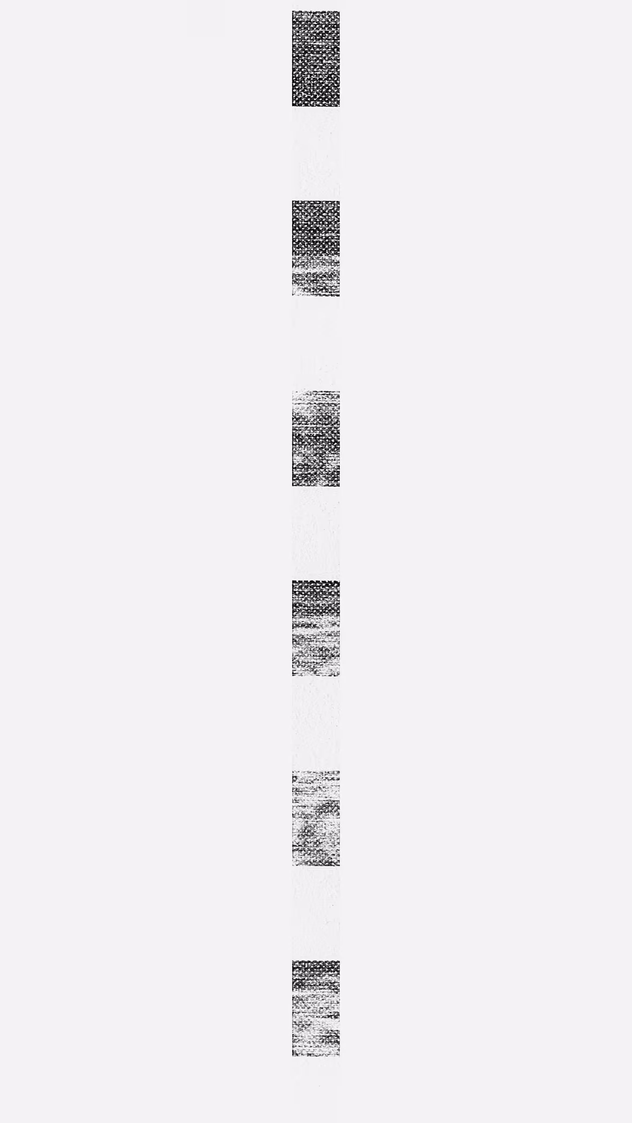 Vauhtiraita 06
