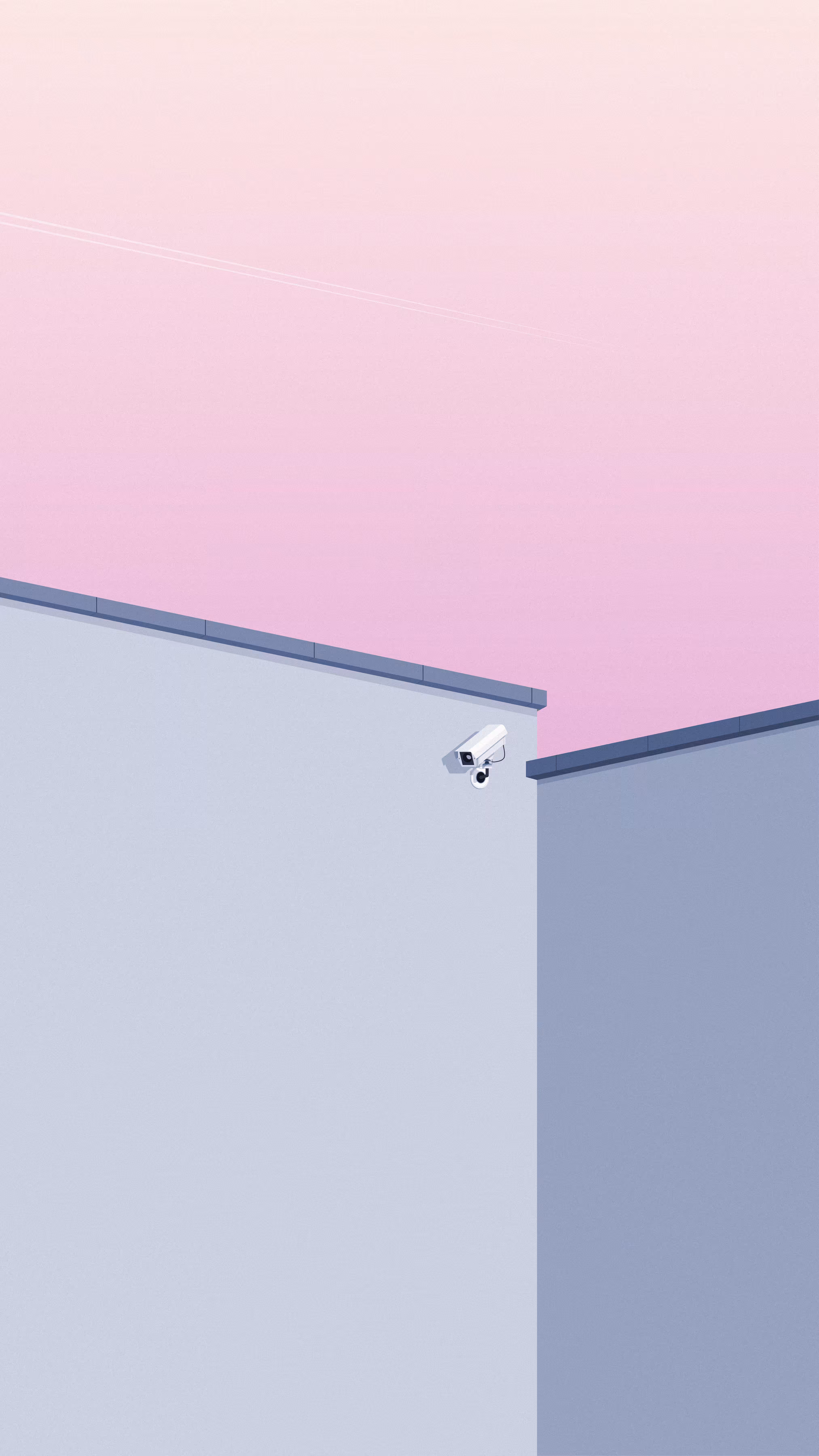 Blush Surveillance