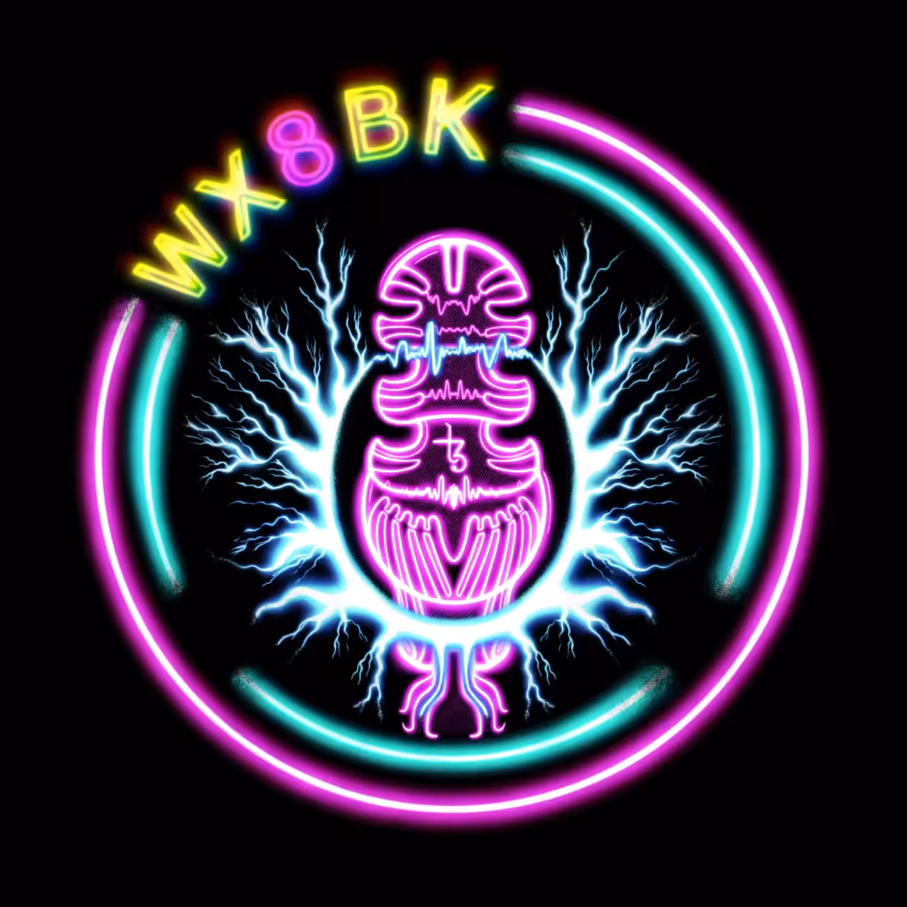 WX8BK DAO Token Entry - animated