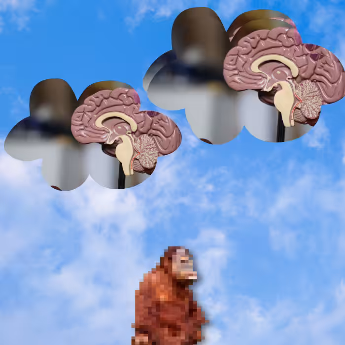 Anxious monkeys #18