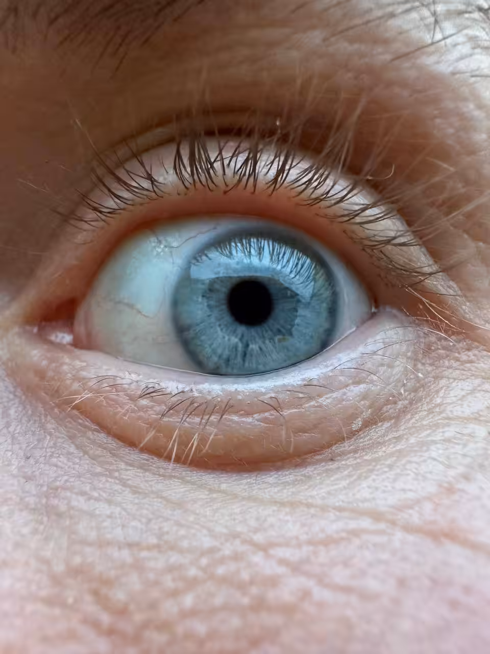 Journey of the Eye #1