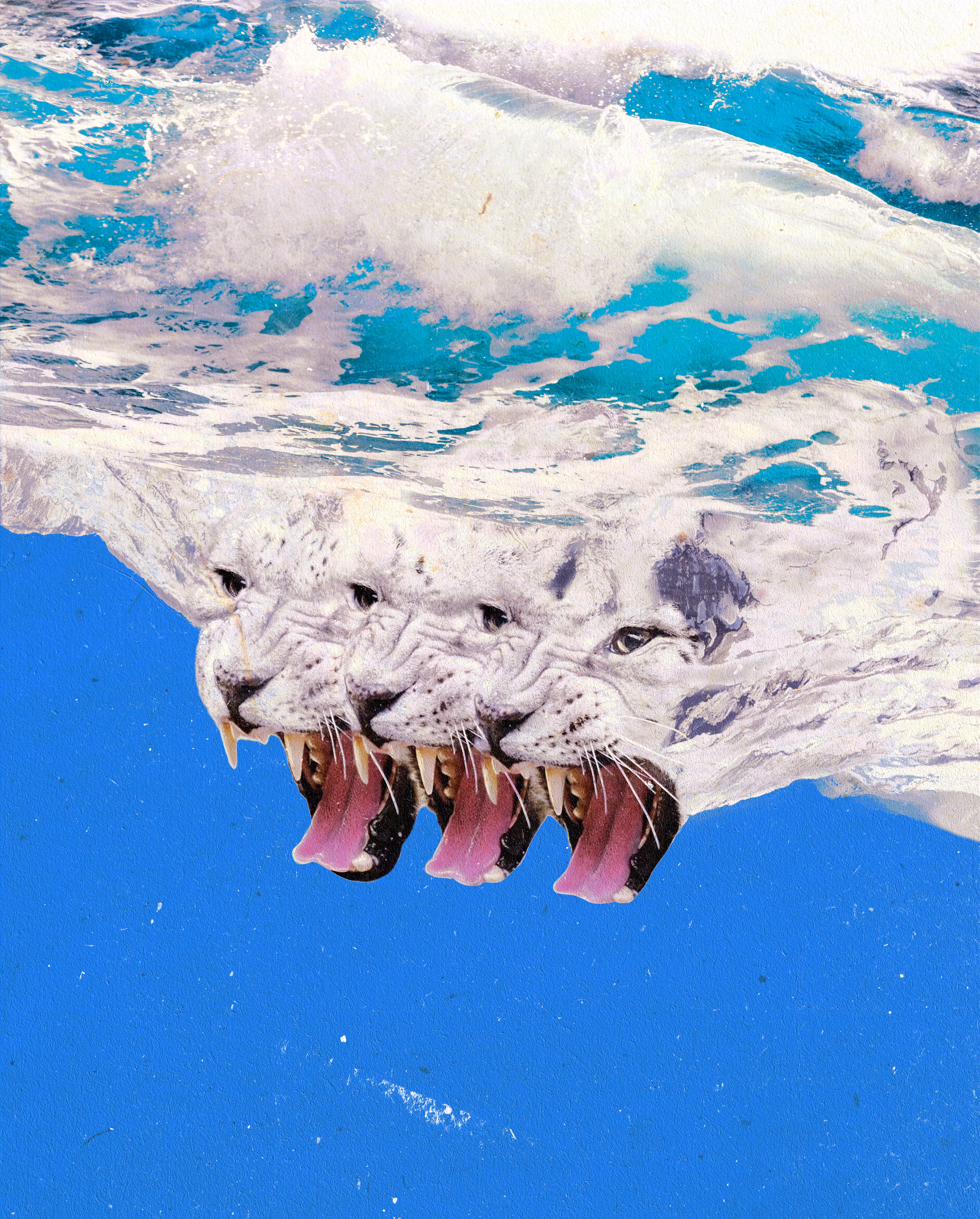 Rage of The Iceberg