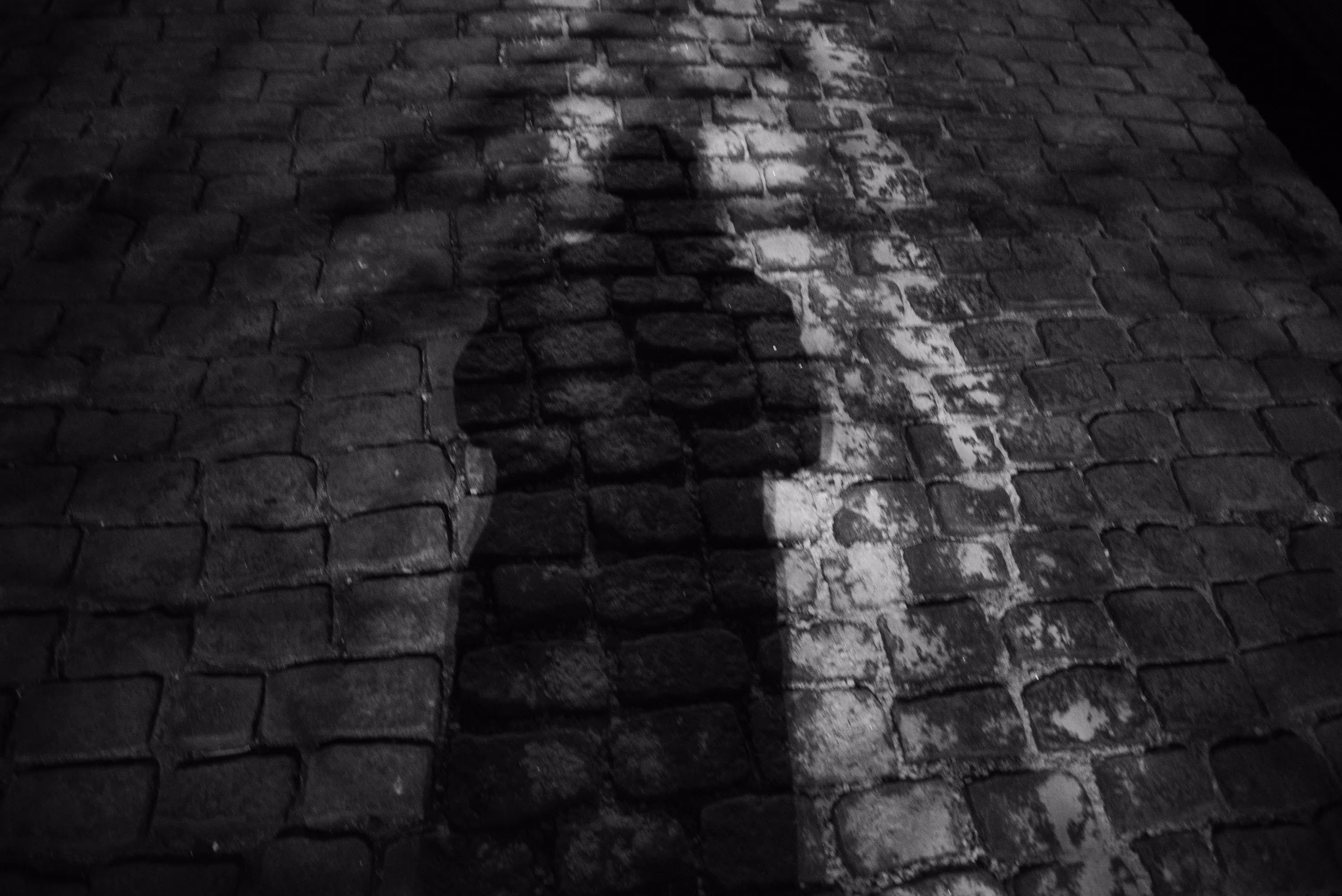 Rodeo posts: Self Portrait on the Road