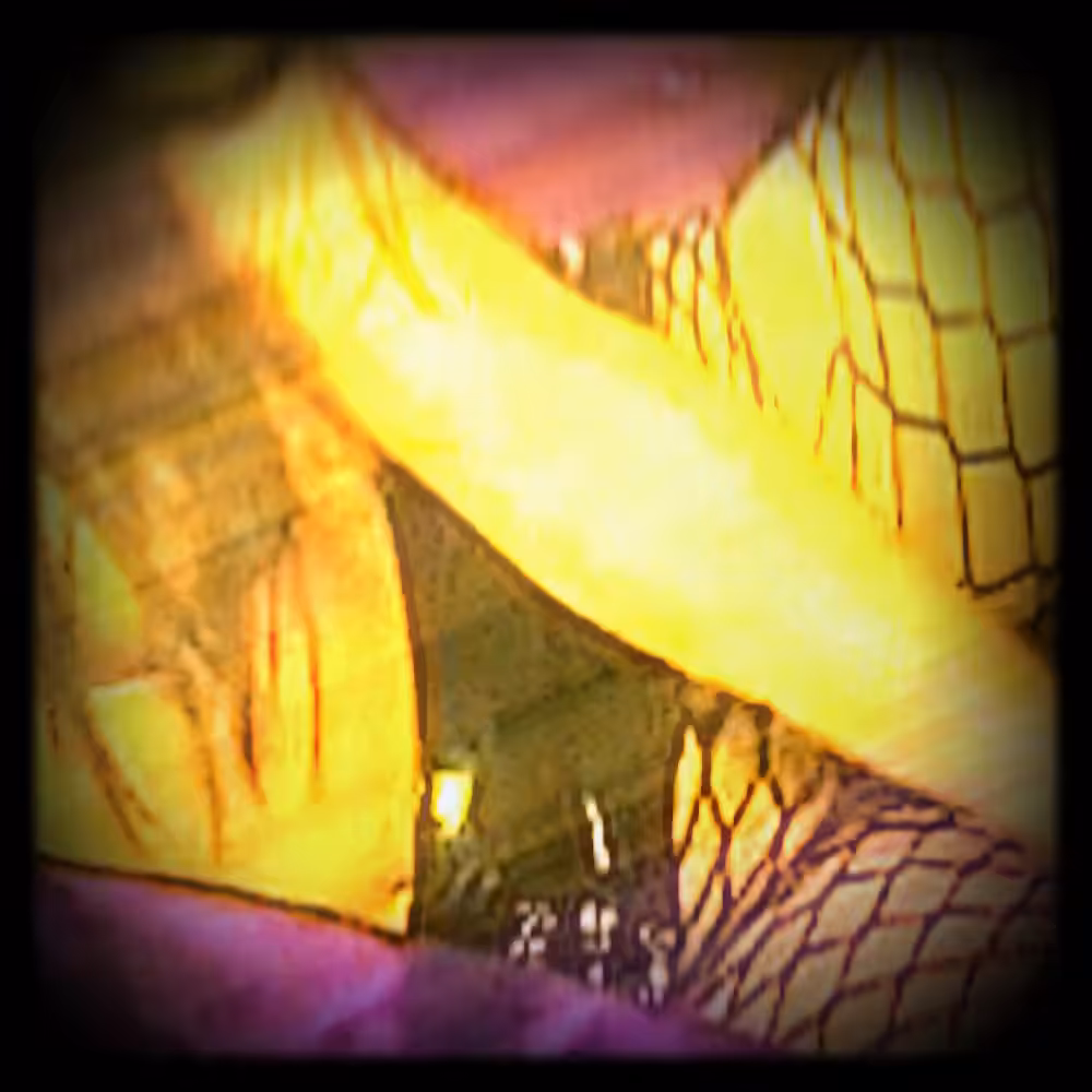 fishnet
