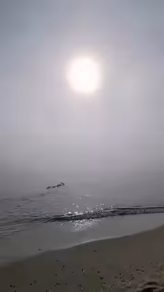 Foggy Flight