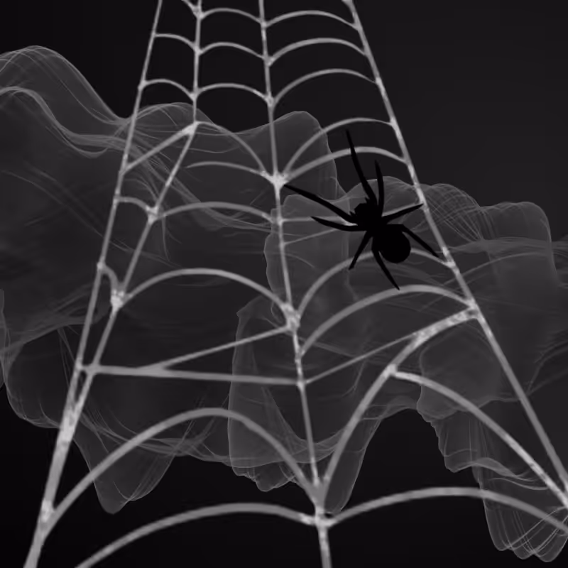 Black Spider #10