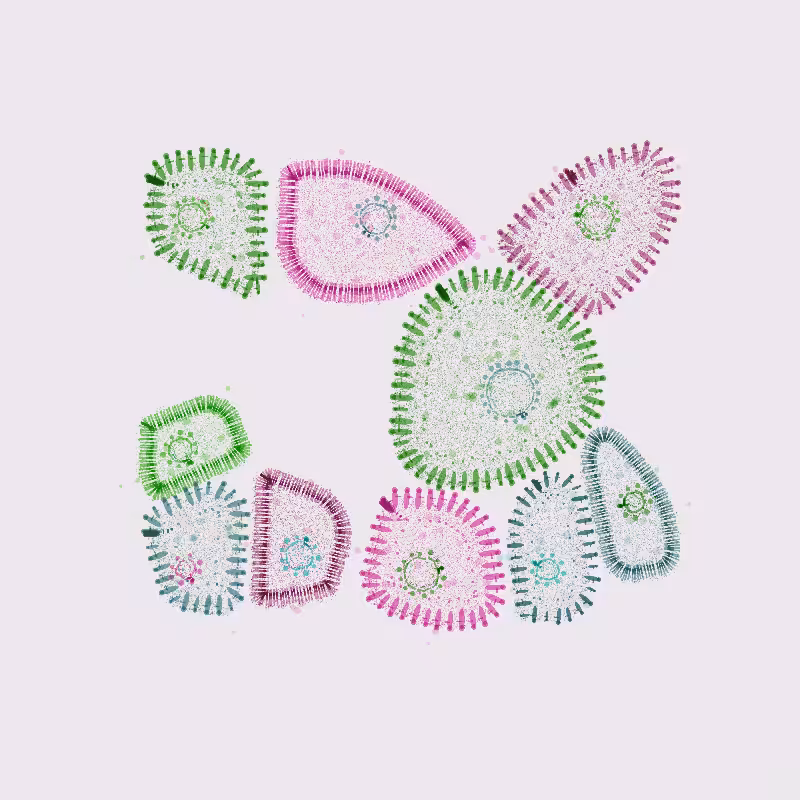 Organelles #7