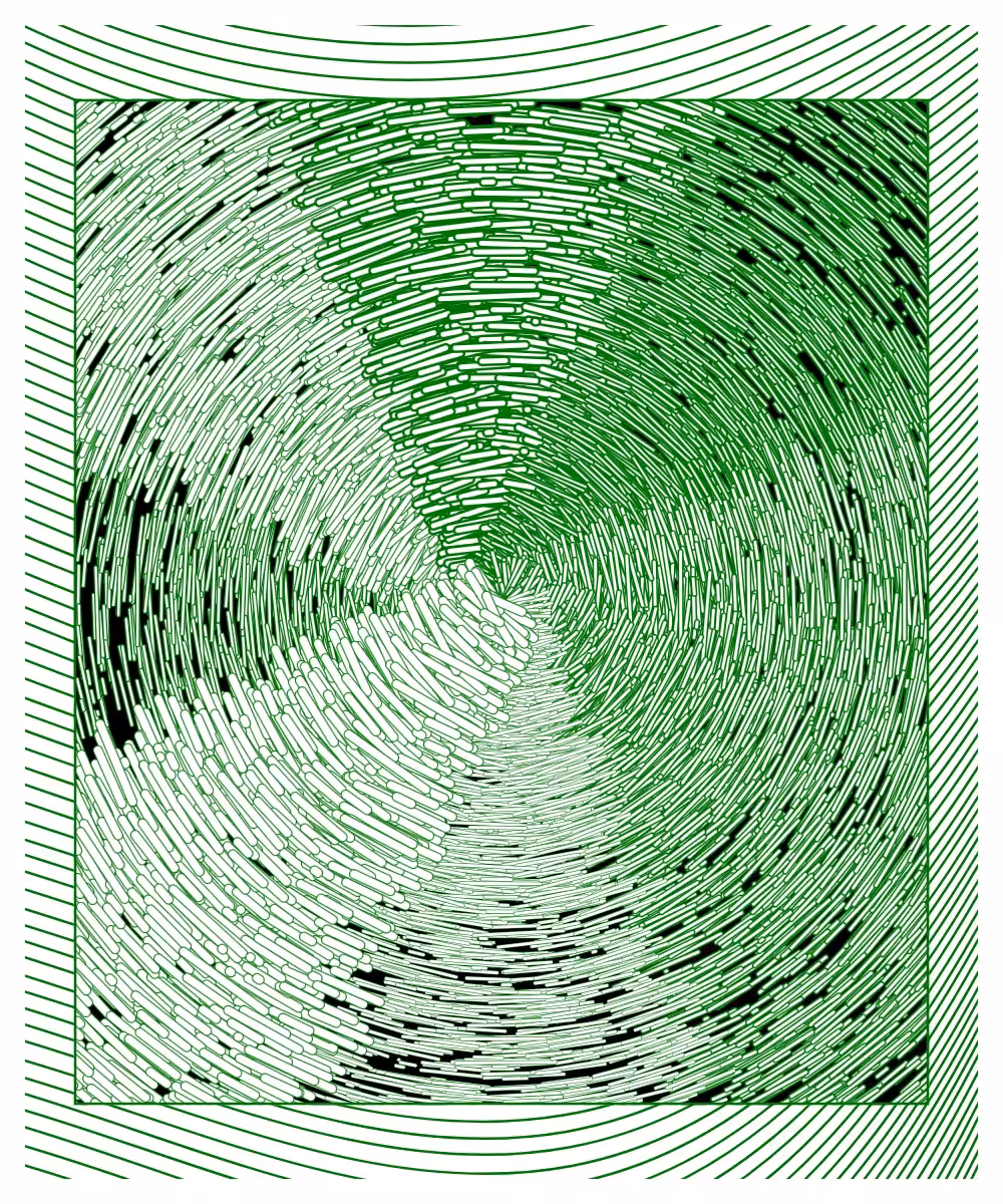 daily experiments GREEN
