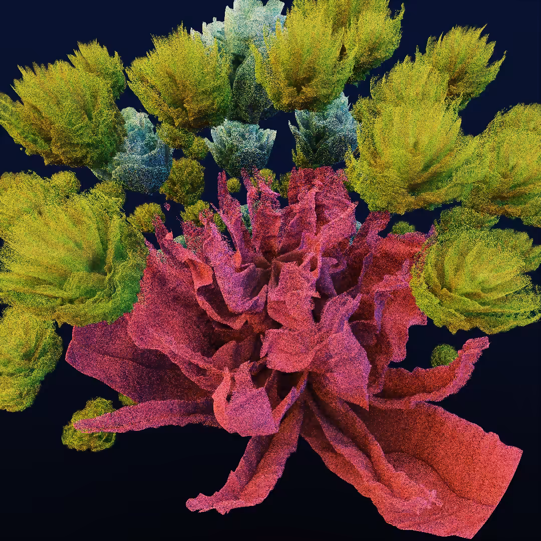 rosarium #156