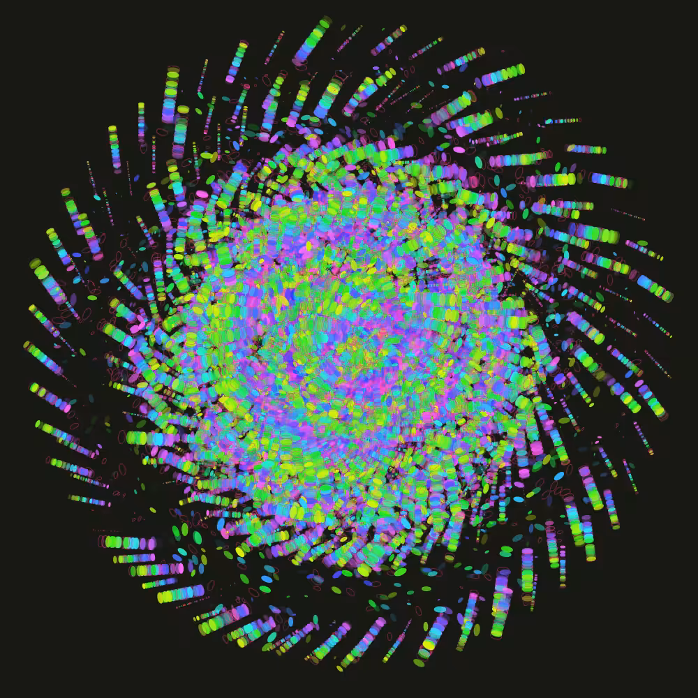 Spiral Contemplations #004