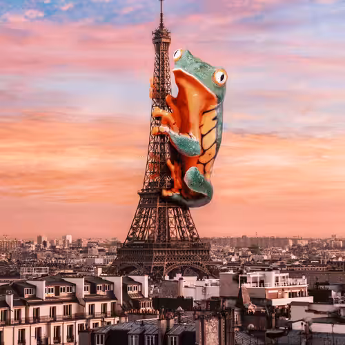 Freddy the Frog