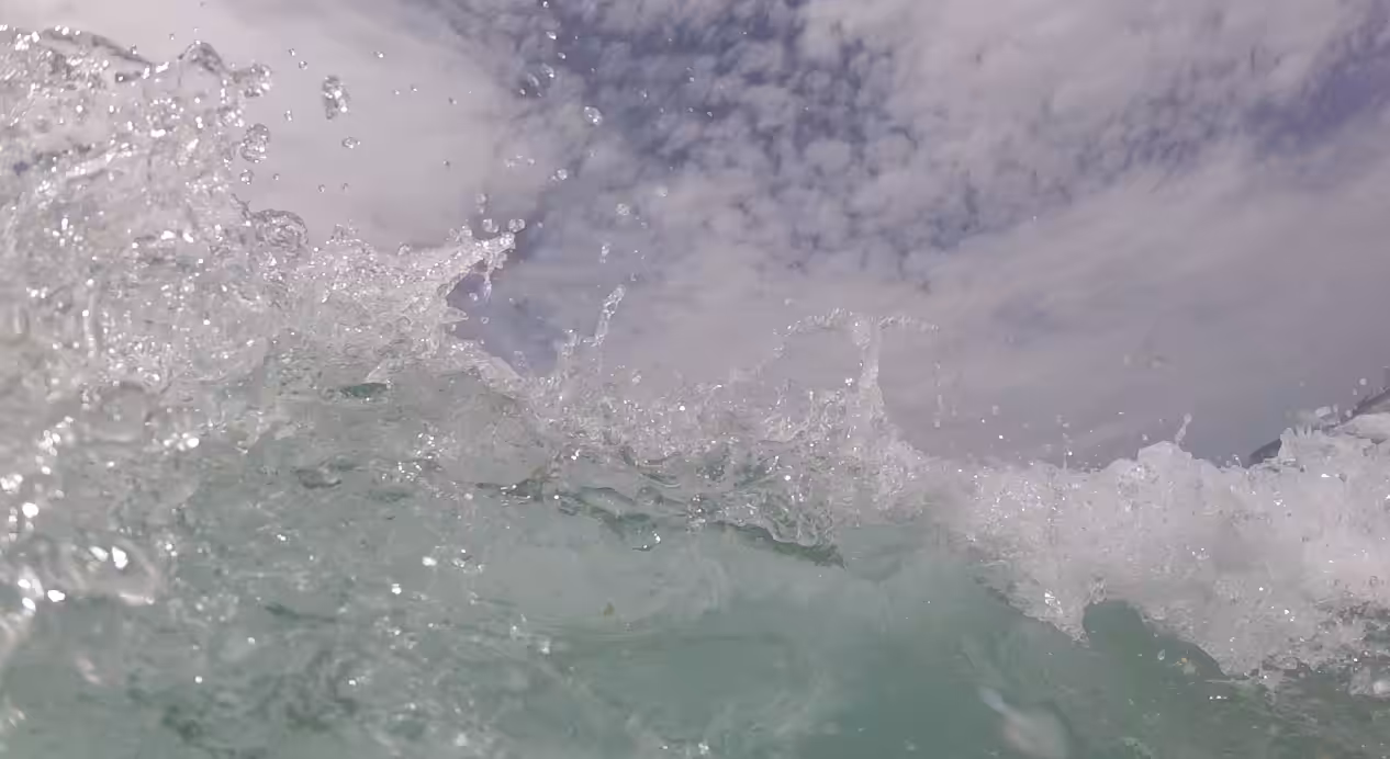 h20