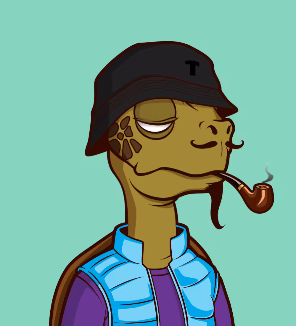 Tiny Turtle 17