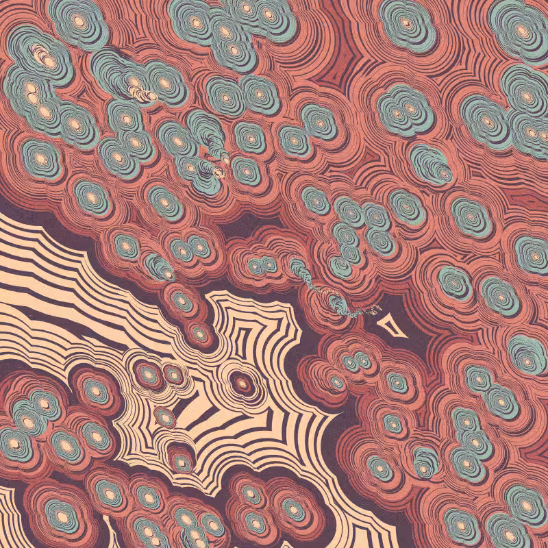 The Fast Marching #8