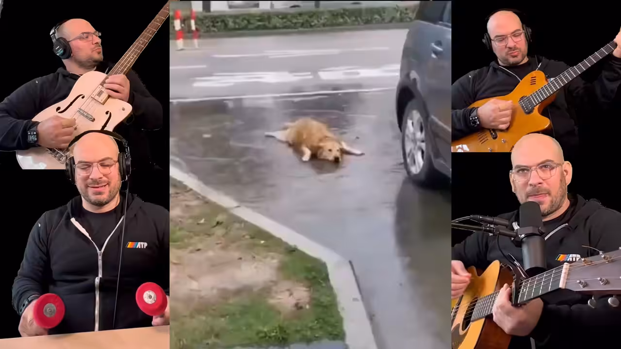 Song A Day: Doggie In A Puddle