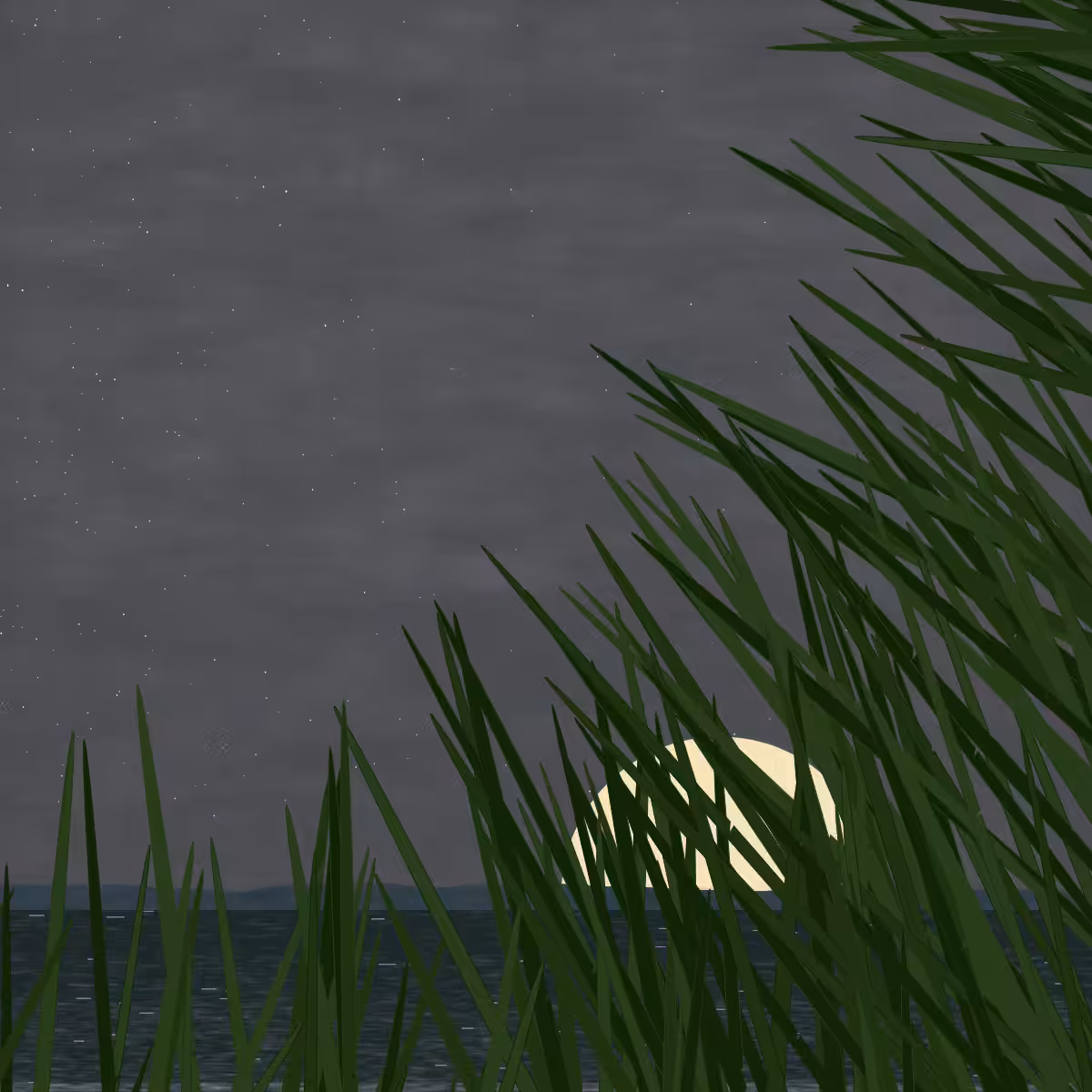 Ammophila dream #12