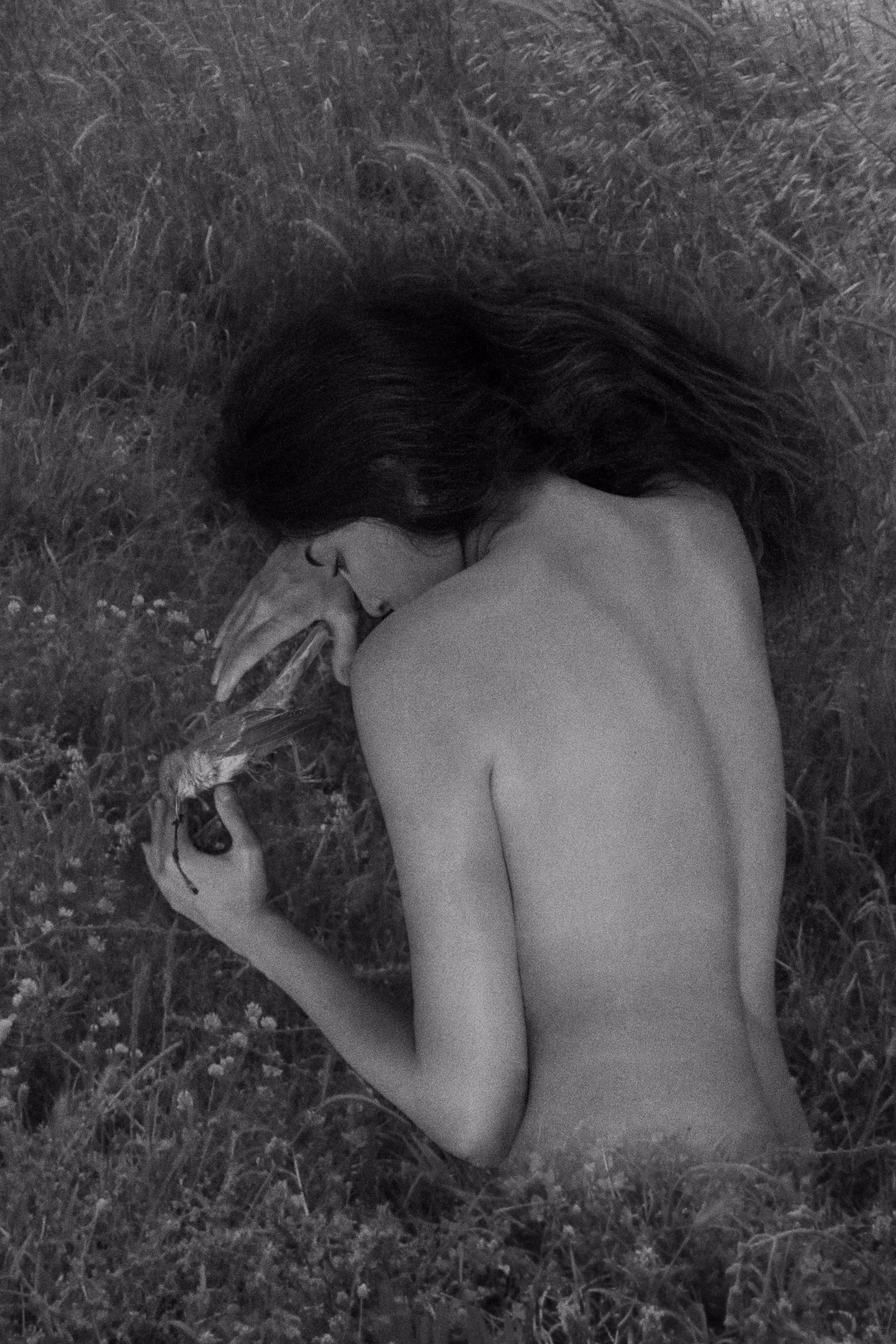 Embrace of Wounded Melodies
