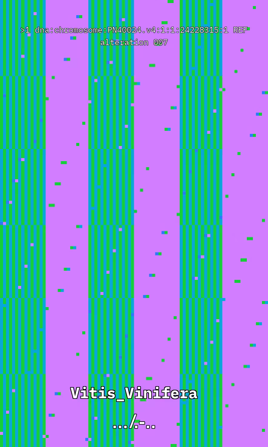 Vitis DNA Alteration #7