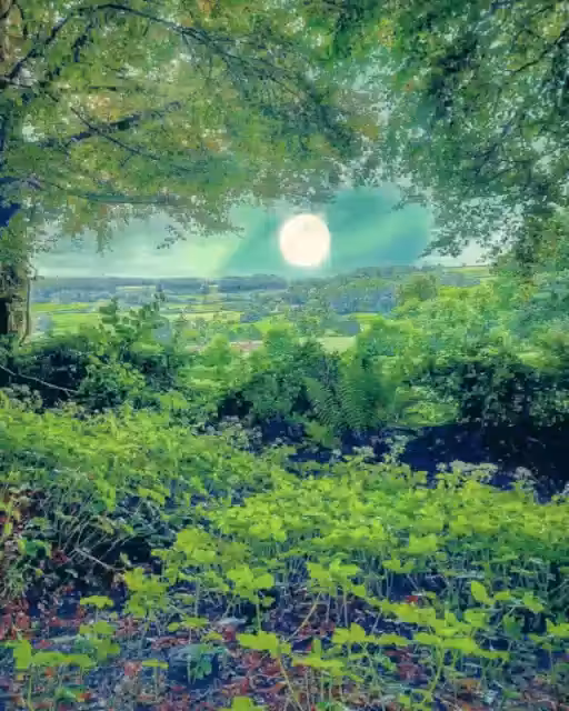 Wiltshire Moon