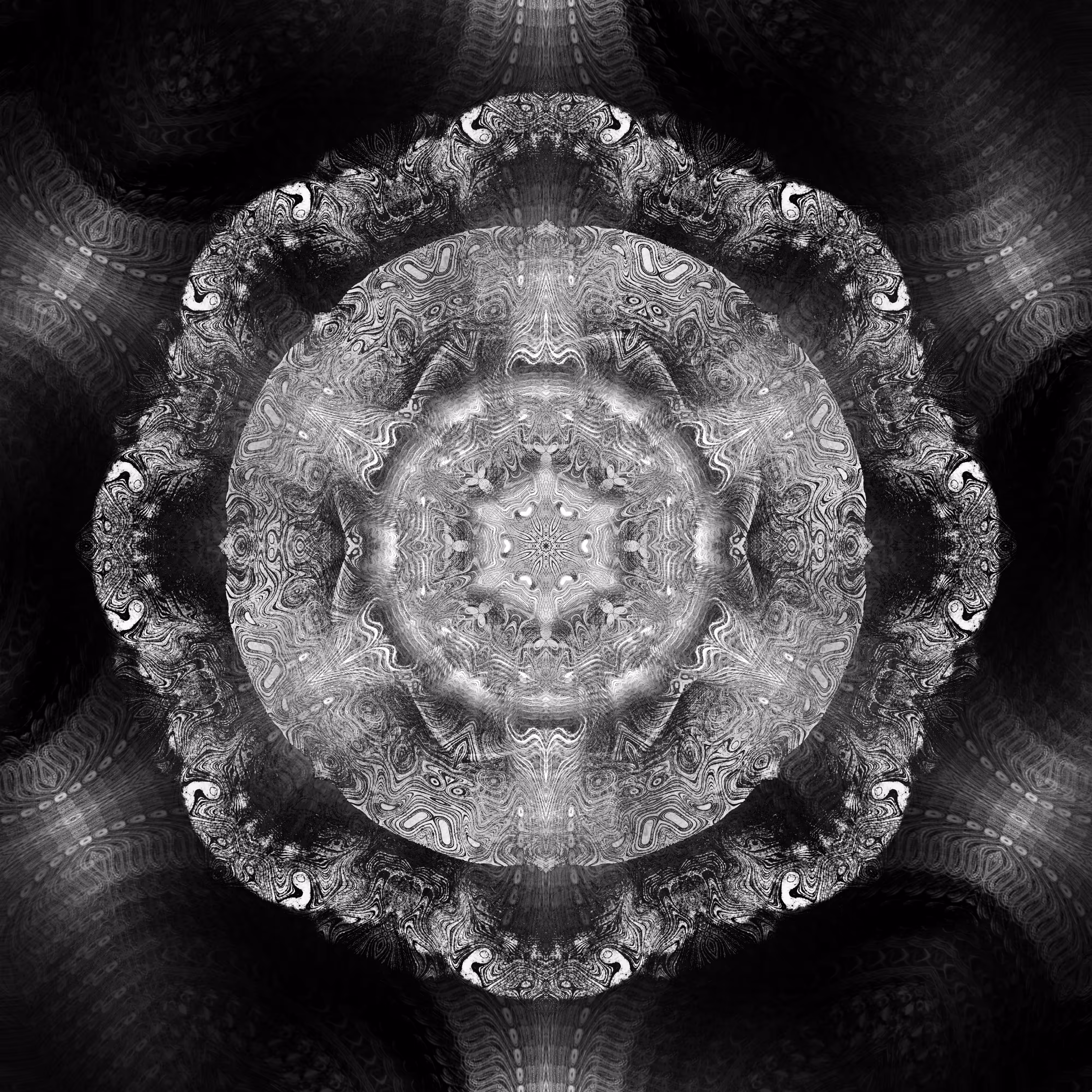 dark camellia D28