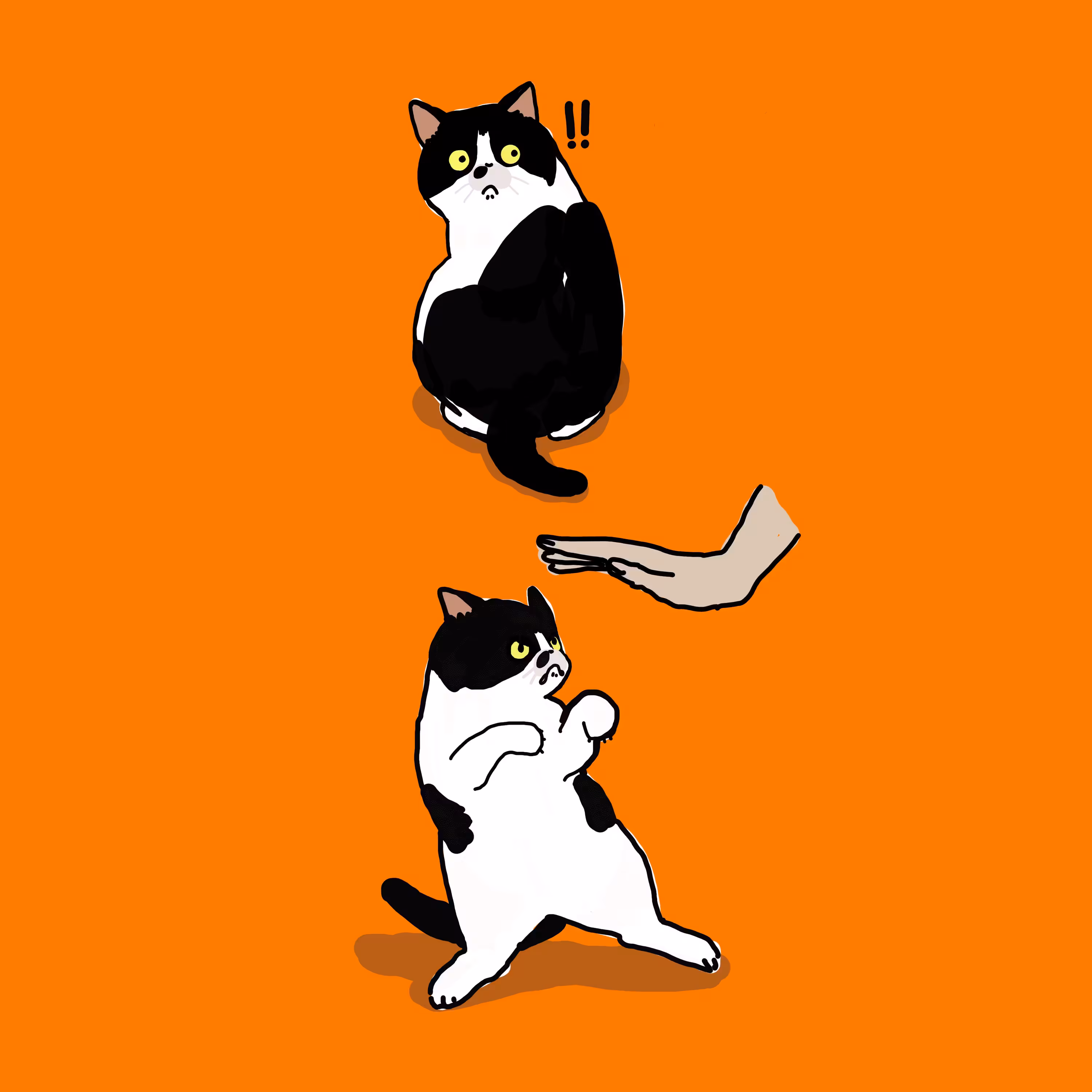 MeowMeaw #001