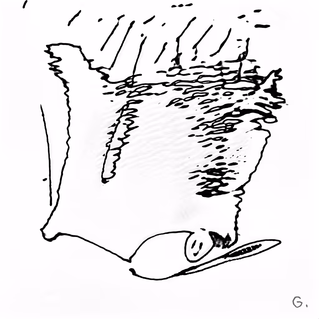 J48BAFORMS: J48BAFORM #868