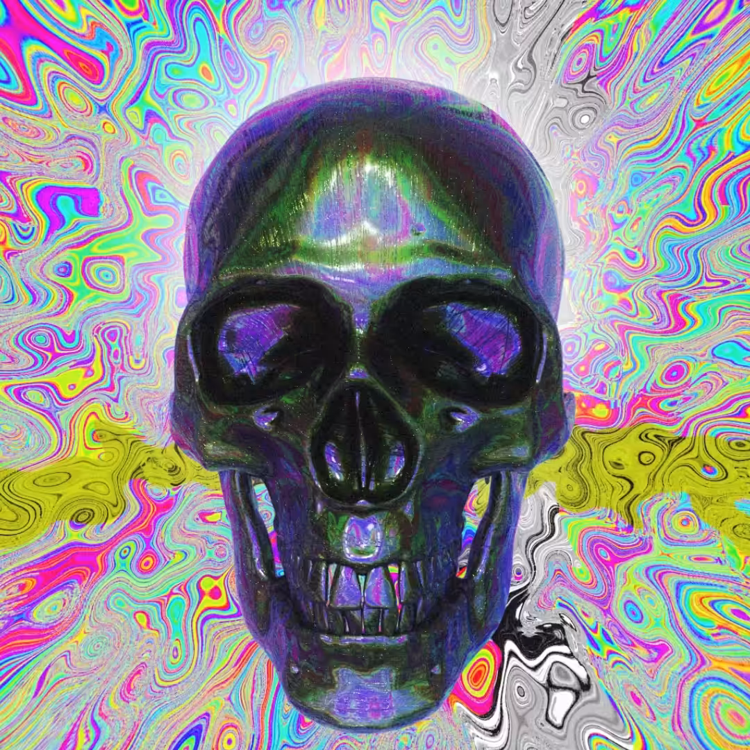 Calavera - L$DVERA // L$-SKULL-D