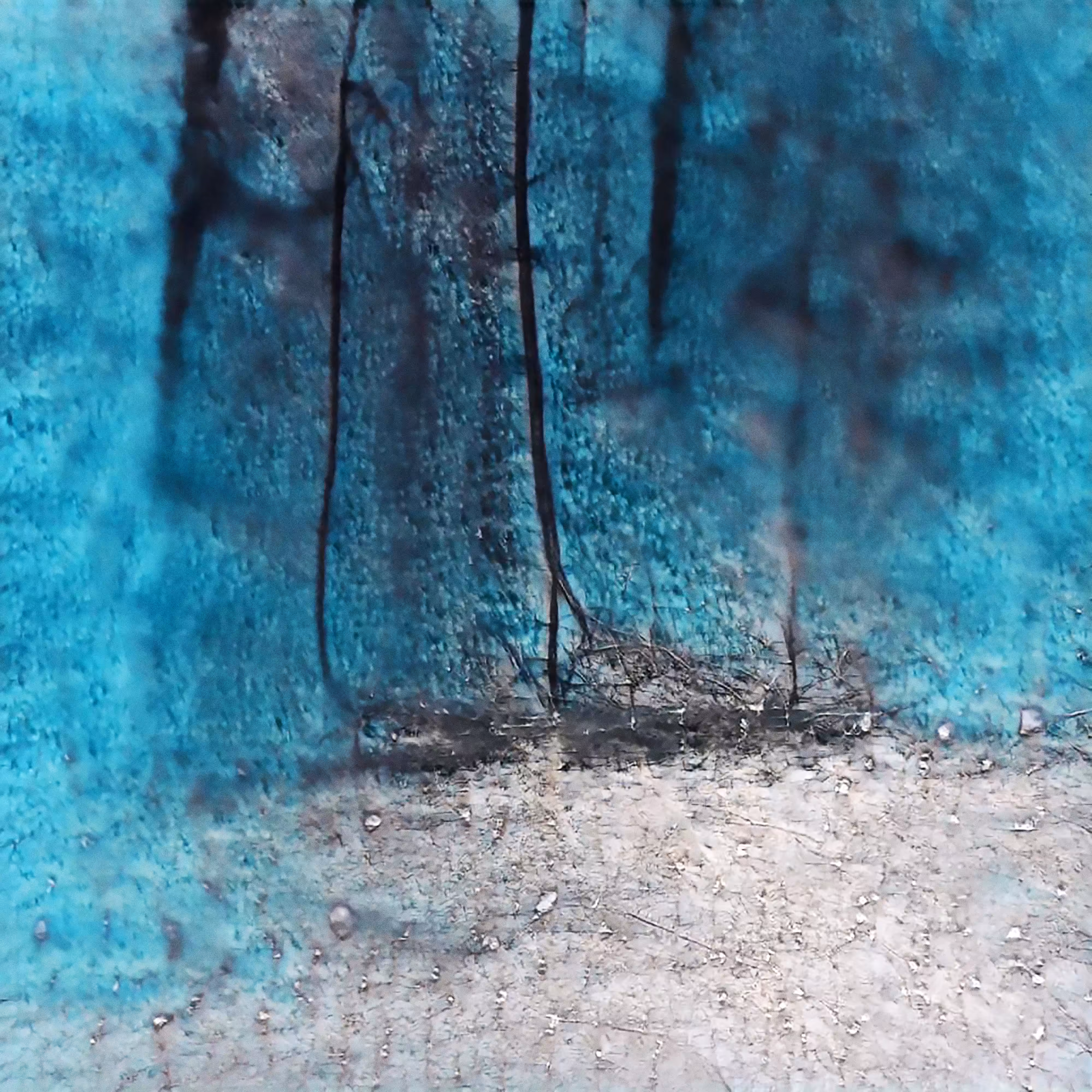 Regeneration #940583