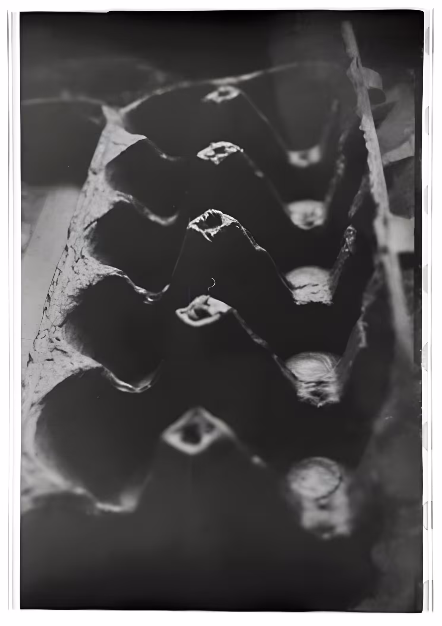 Daily Film - 8.01.2023 - 4