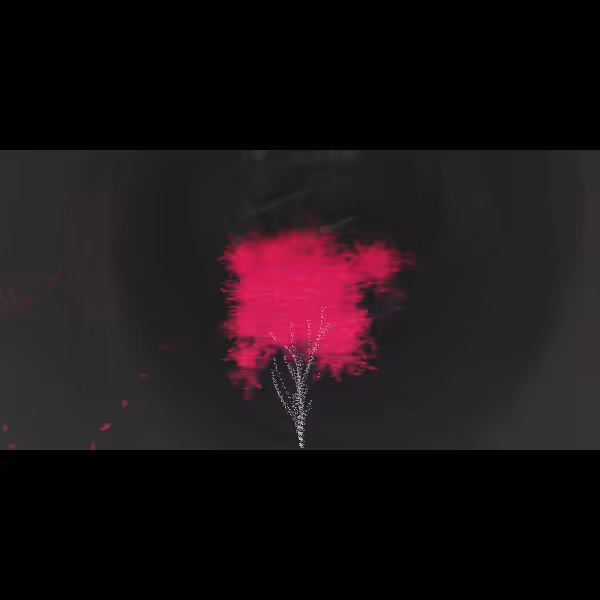 abhāva #24