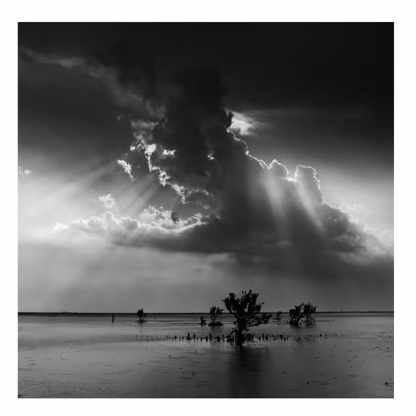 Calm after the storm