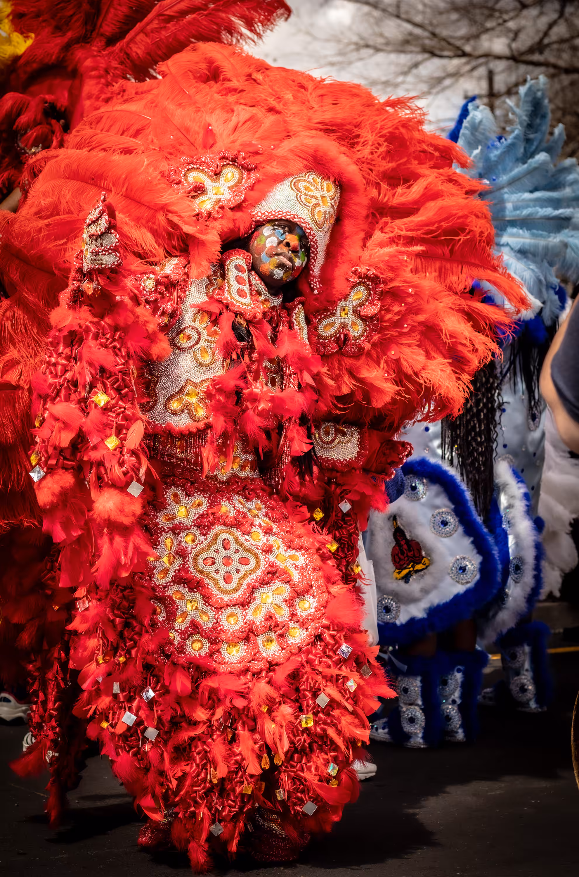 Culture Collection: My Culture Collection #047